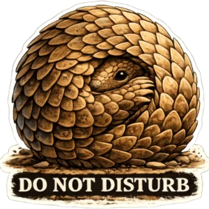 Do Not Disturb