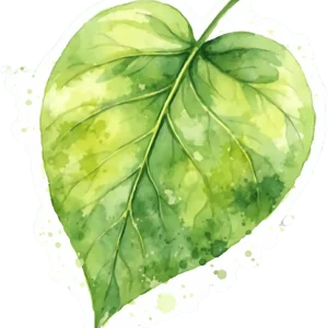 Green Leaf